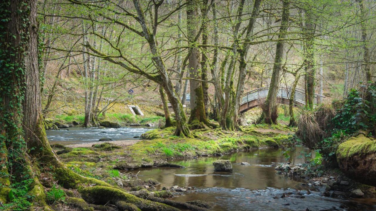 Hotel Le Moulin Des Ruats Avallon Exteriér fotografie
